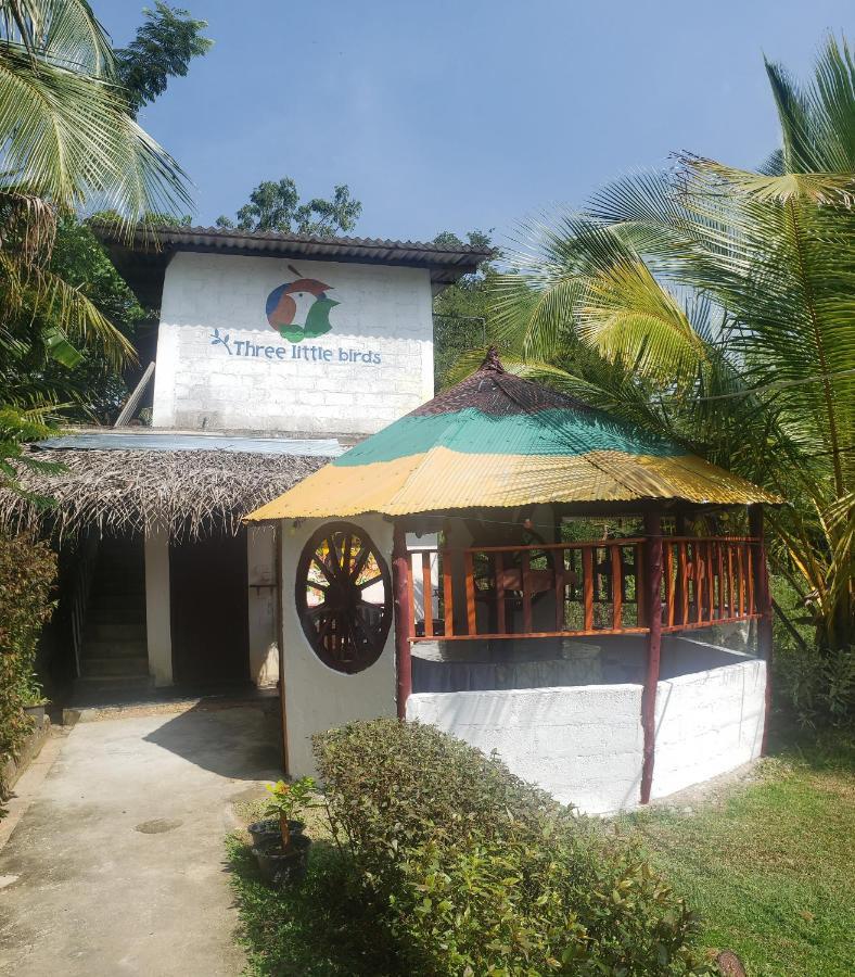 Three Little Birds Hotel Tangalle Exterior photo