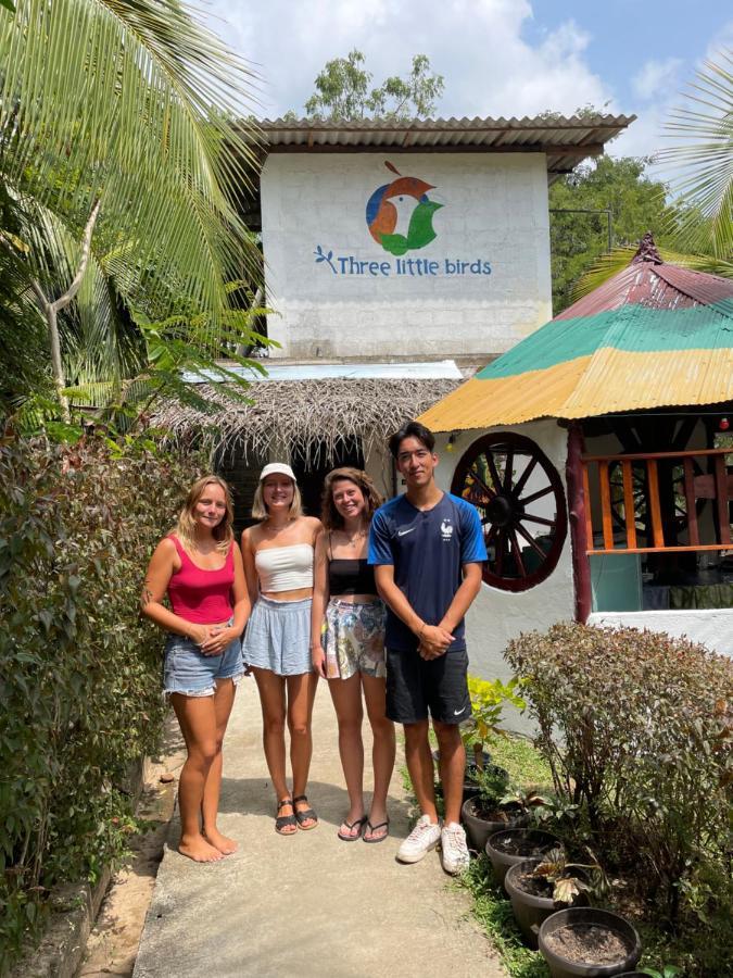 Three Little Birds Hotel Tangalle Exterior photo